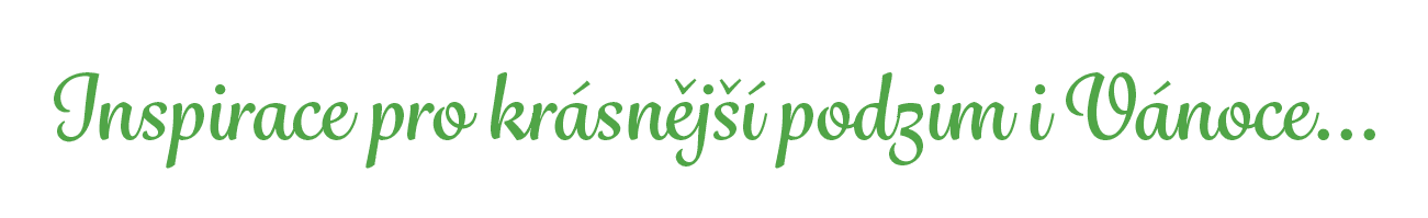 Inspirace pro kr sn j  podzim i V noce…