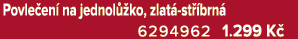 Povle en na jednol  ko, zlat  st  brn  6294962 1.299 K 