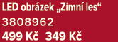 LED obr zek „Zimn les“ 3808962 499 K  349 K 