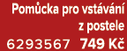 Pom cka pro vst v n z postele 6293567 749 K 