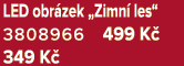 LED obr zek „Zimn les“ 3808966 499 K  349 K 