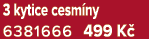 3 kytice cesm ny 6381666 499 K 