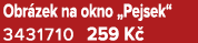 Obr zek na okno „Pejsek“ 3431710 259 K 