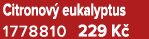 Citronov eukalyptus 1778810 229 K 
