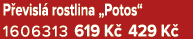 P evisl rostlina „Potos“ 1606313 619 K  429 K 