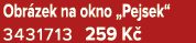 Obr zek na okno „Pejsek“ 3431713 259 K 