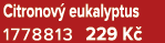 Citronov eukalyptus 1778813 229 K 