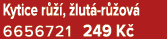 Kytice r  ,  lut  r  ov  6656721 249 K 