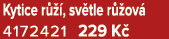 Kytice r  , sv tle r  ov  4172421 229 K 