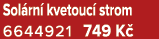 Sol rn kvetouc  strom 6644921 749 K 