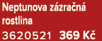 Neptunova z zra n rostlina 3620521 369 K 