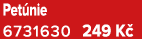 Pet nie 6731630 249 K 