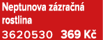 Neptunova z zra n rostlina 3620530 369 K 