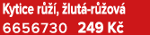 Kytice r  ,  lut  r  ov  6656730 249 K 