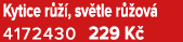 Kytice r  , sv tle r  ov  4172430 229 K 