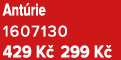Ant rie 1607130 429 K 299 K 