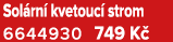 Sol rn kvetouc  strom 6644930 749 K 