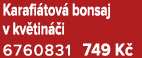 Karafi tov bonsaj v kv tin  i 6760831 749 K 