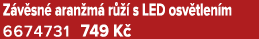 Z v sn aran m  r    s LED osv tlen m 6674731 749 K 