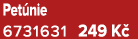 Pet nie 6731631 249 K 