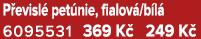P evisl pet nie, fialov /b l  6095531 369 K  249 K 