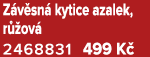Z v sn kytice azalek, r  ov  2468831 499 K 
