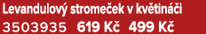 Levandulov strome ek v kv tin  i 3503935 619 K  499 K 