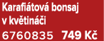 Karafi tov bonsaj v kv tin  i 6760835 749 K 