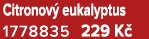 Citronov eukalyptus 1778835 229 K 