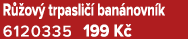 R ov  trpasli   ban novn k 6120335 199 K 