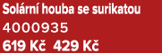 Sol rn houba se surikatou 4000935 619 K  429 K 