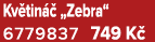Kv tin  „Zebra“ 6779837 749 K 