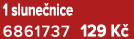 1 slune nice 6861737 129 K 