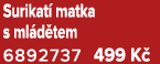 Surikat matka s ml d tem 6892737 499 K 