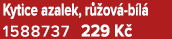 Kytice azalek, r ov  b l  1588737 229 K 