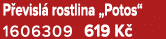P evisl rostlina „Potos“ 1606309 619 K  