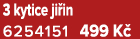 3 kytice ji in 6254151﻿﻿ 499 K 