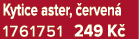 Kytice aster, erven  1761751 249 K 