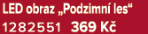 LED obraz „Podzimn les“ 1282551 369 K 