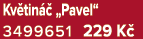 Kv tin  „Pavel“ 3499651 229 K 