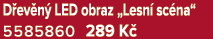 D ev n LED obraz „Lesn  sc na“ 5585860 289 K 