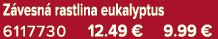 Z vesn rastlina eukalyptus 6117730 12.49 € 9.99 €