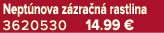 Nept nova z zra n rastlina 3620530 14.99 €