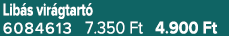 Lib s vir gtart 6084613 7.350 Ft 4.900 Ft