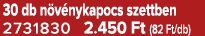 30 db n v nykapocs szettben 2731830 2.450 Ft (82 Ft/db)