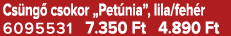 Cs ng csokor „Pet nia”, lila/feh r 6095531 7.350 Ft 4.890 Ft