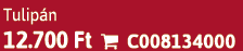 Tulip n 12.700 Ft  C008134000
