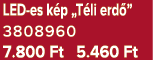 LED es k p „T li erd ” 3808960 7.800 Ft 5.460 Ft