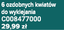 6 ozdobnych kwiat w do wyklejania C008477000 29,99 z 