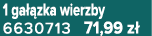 1 ga zka wierzby 6630713 71,99 z 